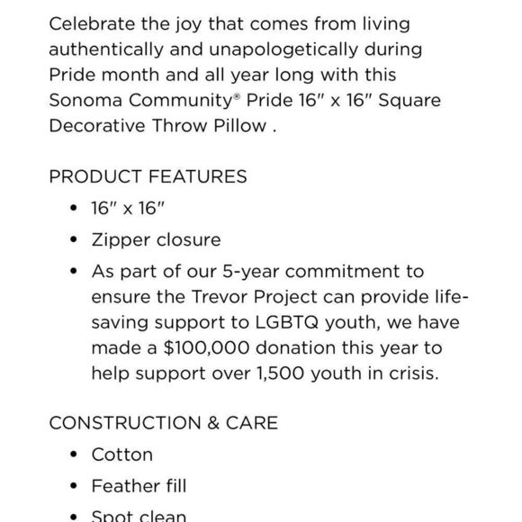 Pride 16" x 16" Square Decorative Throw  feather Pillow 
Sonoma Community® - Picture 3 of 7